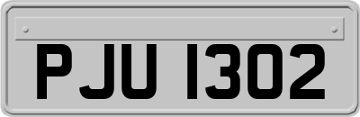 PJU1302