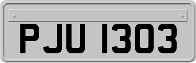 PJU1303