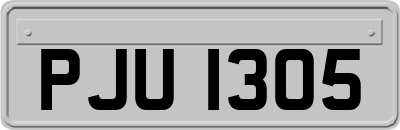 PJU1305