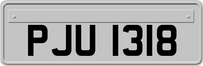 PJU1318