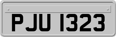 PJU1323