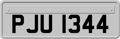 PJU1344