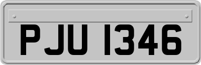 PJU1346
