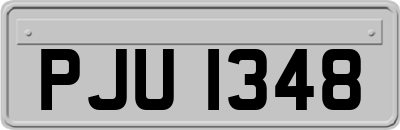 PJU1348