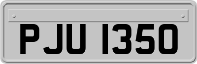 PJU1350