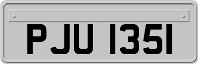 PJU1351
