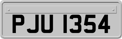 PJU1354