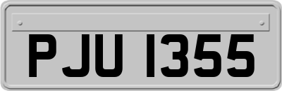 PJU1355