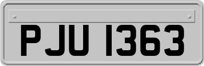 PJU1363