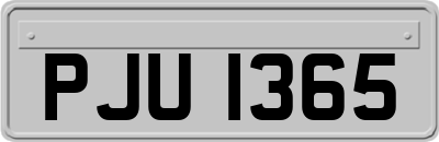 PJU1365