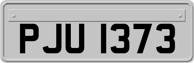 PJU1373