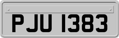 PJU1383