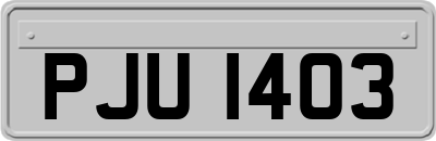 PJU1403