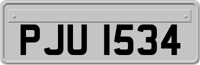 PJU1534