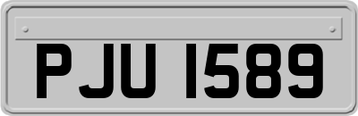 PJU1589