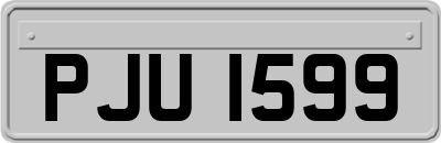 PJU1599