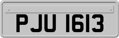 PJU1613