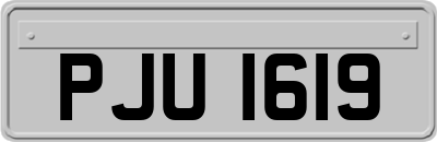 PJU1619
