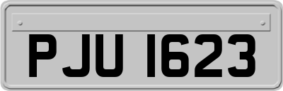 PJU1623