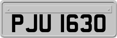 PJU1630