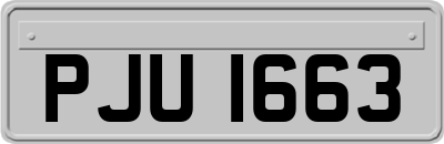 PJU1663