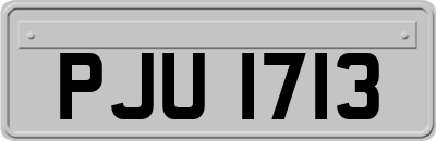 PJU1713