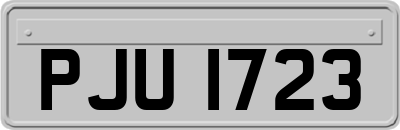 PJU1723