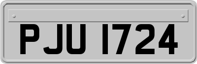 PJU1724