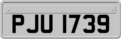 PJU1739
