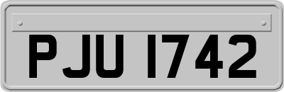 PJU1742