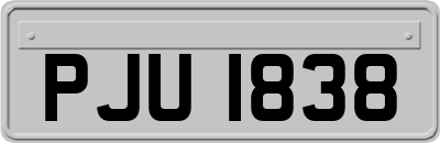 PJU1838