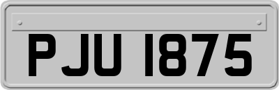 PJU1875
