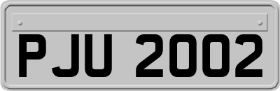 PJU2002