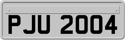 PJU2004