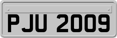 PJU2009