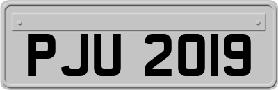 PJU2019