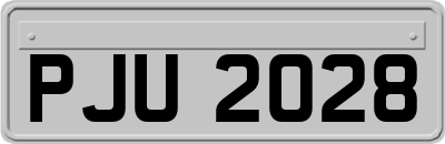 PJU2028