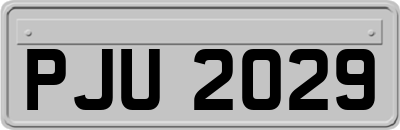 PJU2029