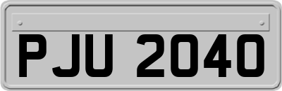 PJU2040