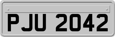 PJU2042