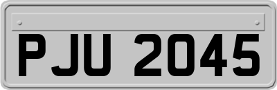 PJU2045