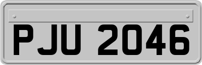 PJU2046