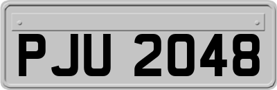 PJU2048