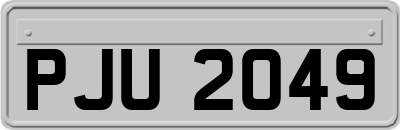 PJU2049