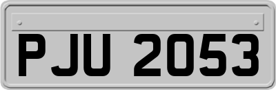 PJU2053