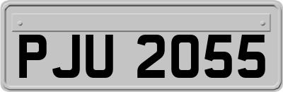 PJU2055