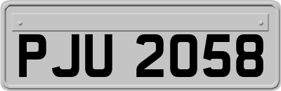 PJU2058