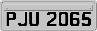 PJU2065