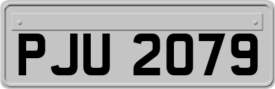 PJU2079