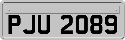 PJU2089